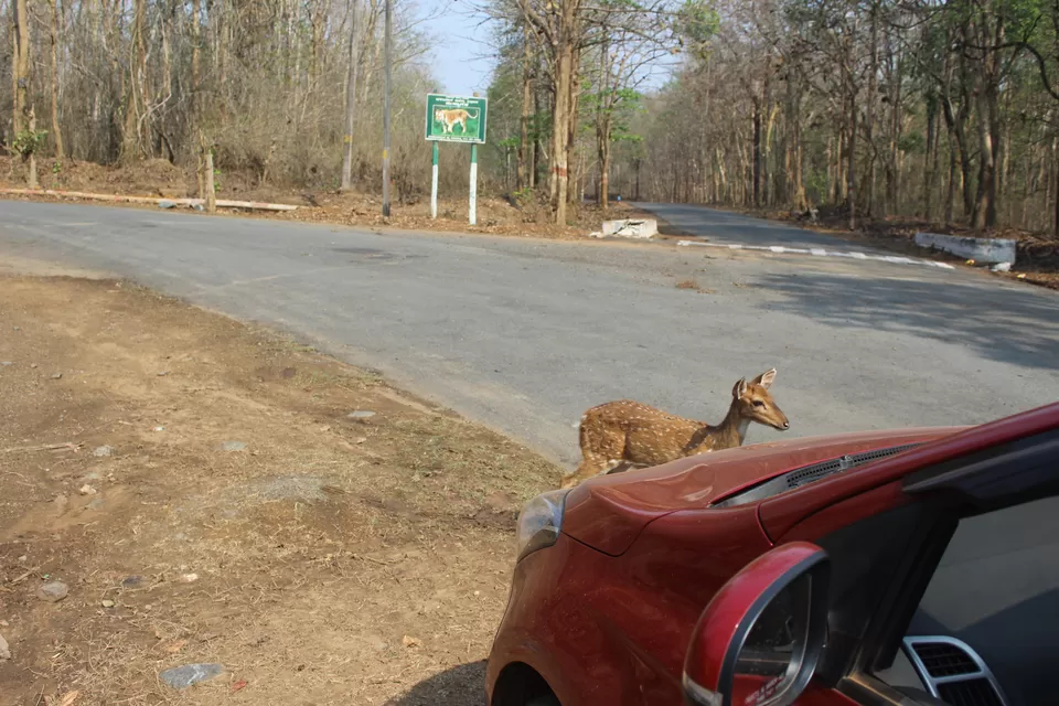Photo of Embark on a Self-Discovery Road Trip in Coastal Karnataka – Sun, Smiles, and Scenic Stops by Dr Sheetal