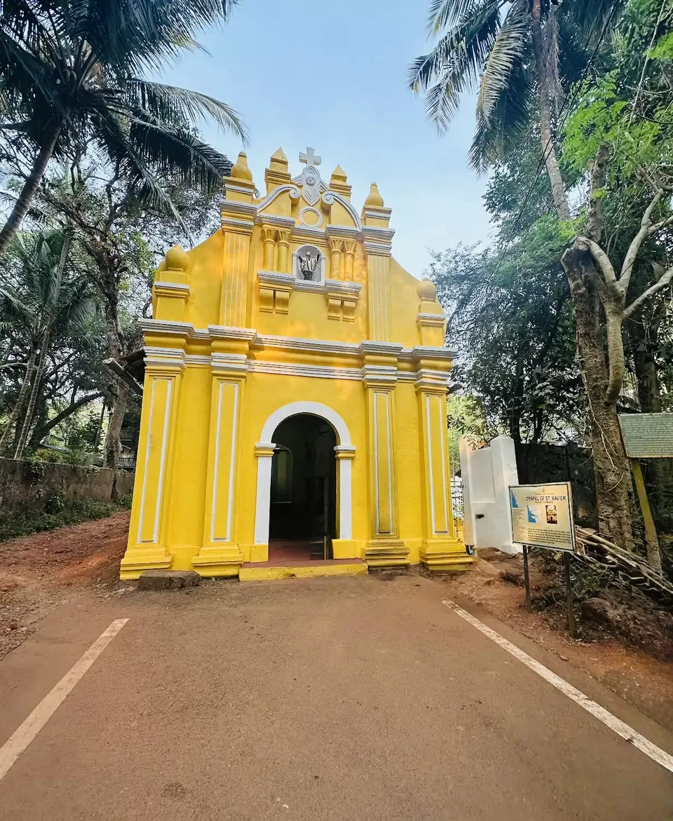 Photo of A little something for the whole World in Goa by Dr Sheetal