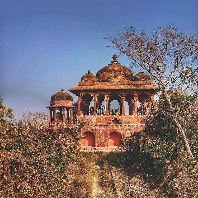 Photo of रणथम्भौर नेशनल पार्क by Kuldeep Ameta