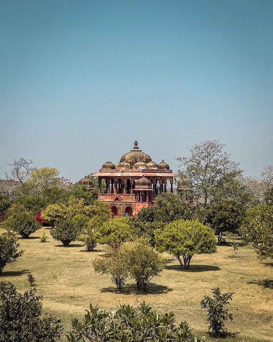 Photo of रणथम्भौर नेशनल पार्क by Kuldeep Ameta