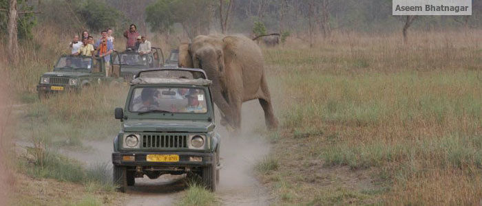 Photo of Corbett National Park – My tryst with nature, forests and wildlife 4/13 by Aseem Bhatnagar
