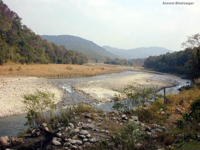 Photo of Corbett National Park – My tryst with nature, forests and wildlife 5/13 by Aseem Bhatnagar