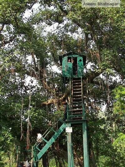 Photo of Corbett National Park – My tryst with nature, forests and wildlife 8/13 by Aseem Bhatnagar