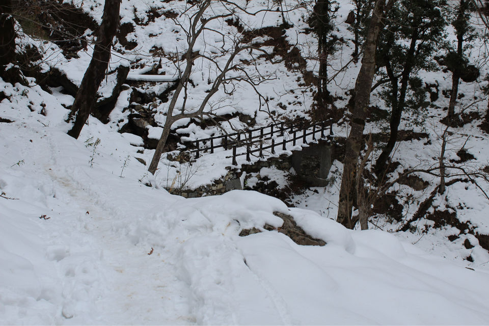 Photo of Sankri, Uttarakhand, India by Puneet Gera