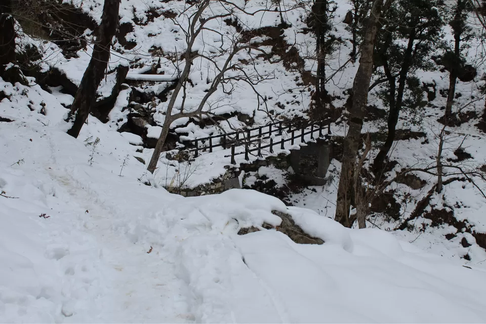 Photo of Sankri, Uttarakhand, India by Puneet Gera