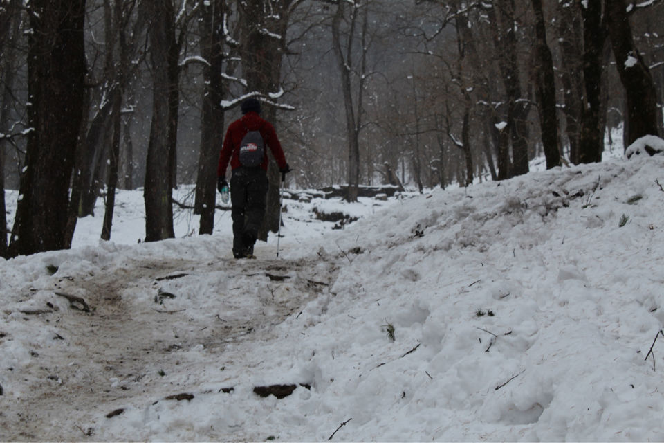 Photo of Sankri, Uttarakhand, India by Puneet Gera