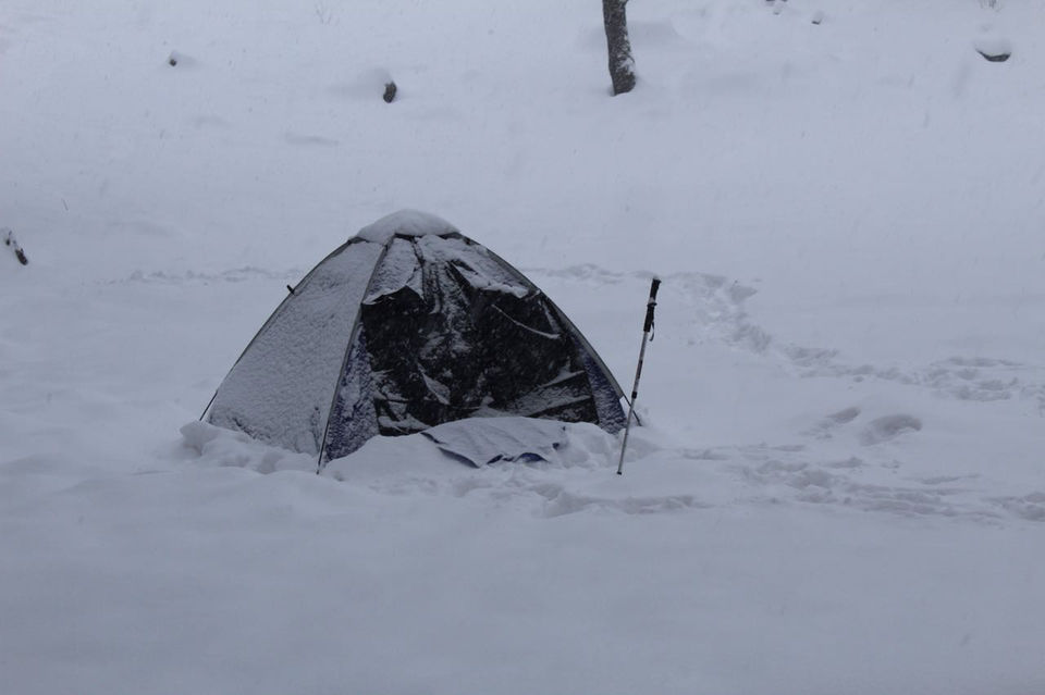 Photo of Sankri, Uttarakhand, India by Puneet Gera
