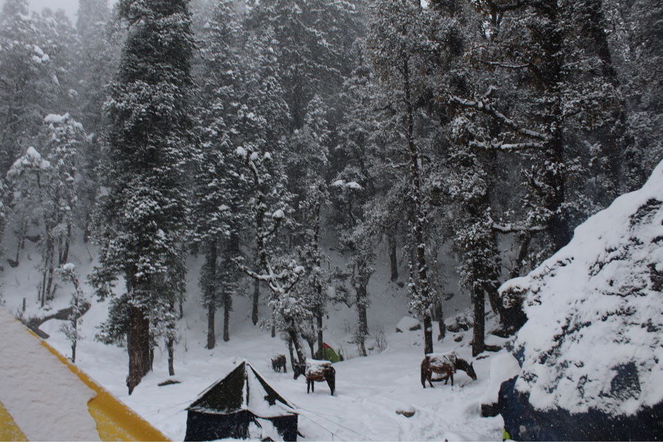 Photo of Kedarkantha: slice of heaven by Puneet Gera