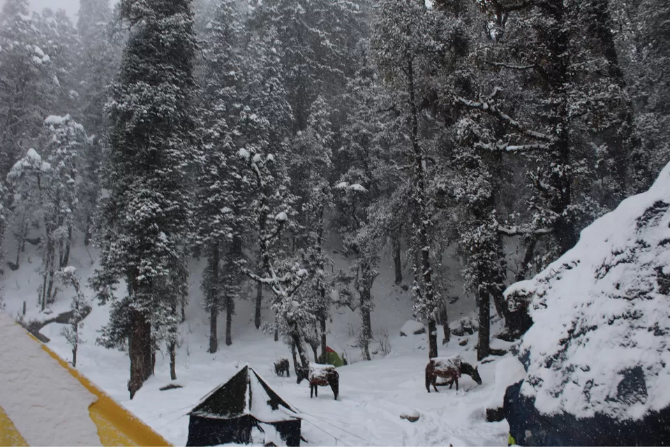 Photo of Kedarkantha: slice of heaven by Puneet Gera