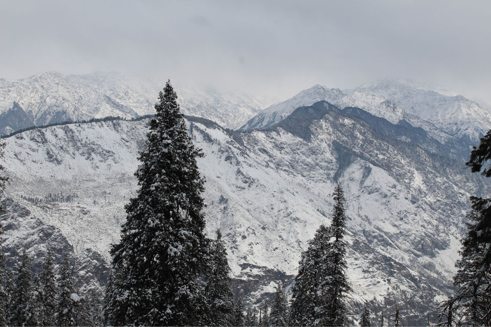 Photo of Kedarkantha: slice of heaven by Puneet Gera