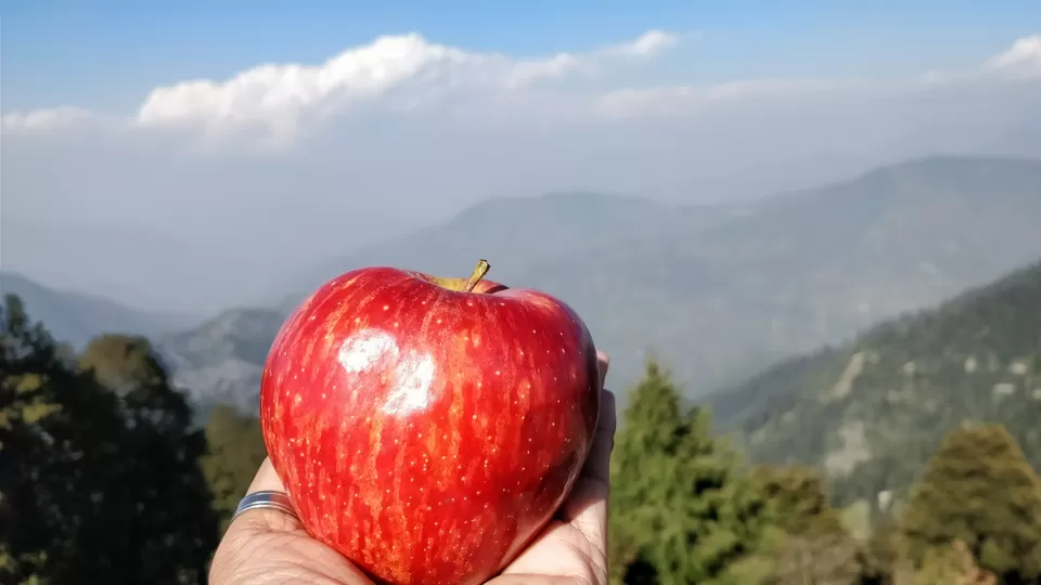 Photo of Hatu Peak, Himachal Pradesh by Traveller for Life