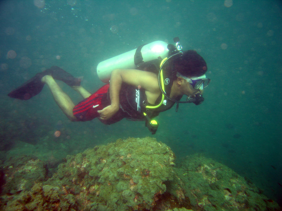 Photo of Scuba Diving at Netrani Island by Supriya Nagaraja
