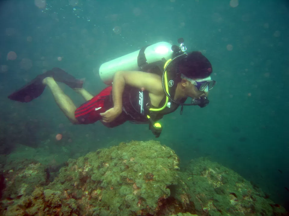 Photo of Scuba Diving at Netrani Island by Supriya Nagaraja