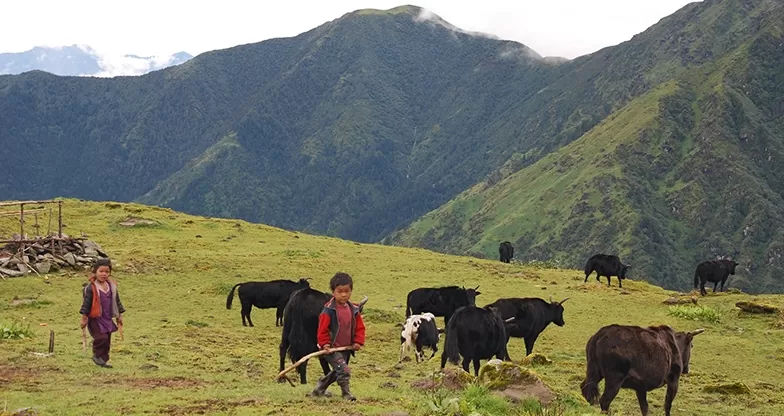 Photo of Numbur cheese circuit trek in eastern Nepal by Deepak Karki