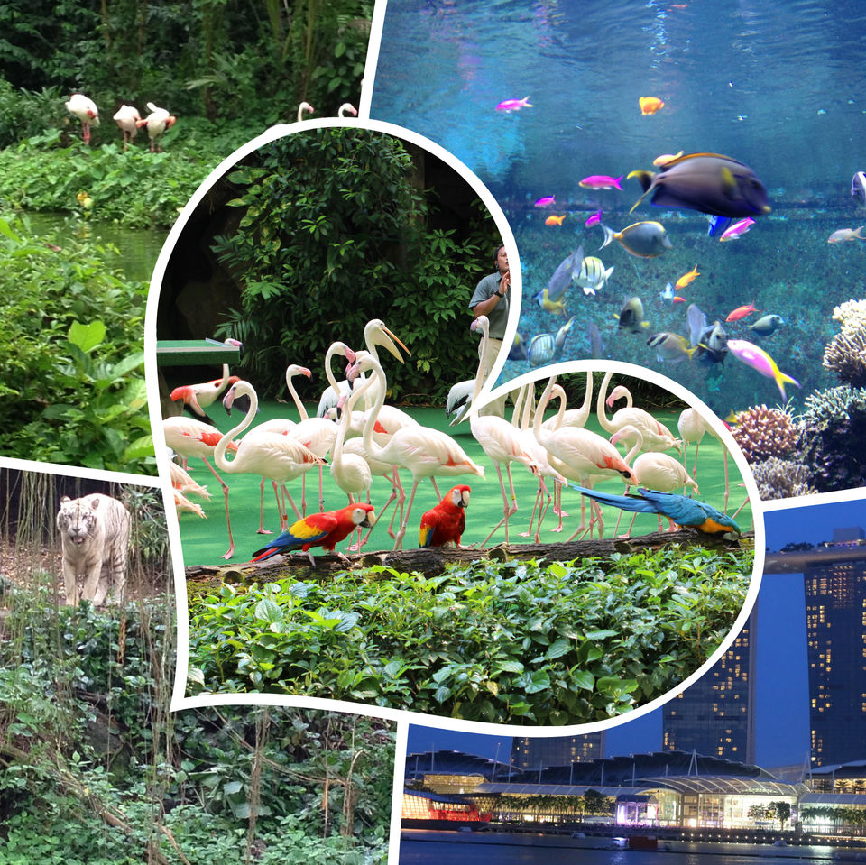 Photo of Why Singapore is Superb for Families. An Insider's Guide. 15/15 by Shriranjani Rao