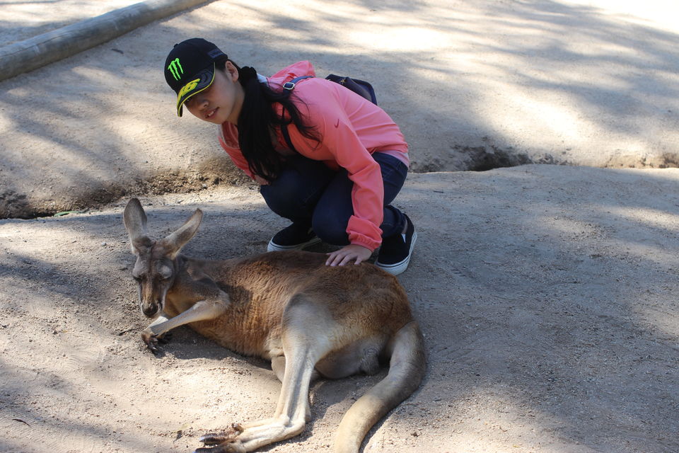 Photo of The Lucky Country: Australia (Part 1- Gold Coast) 5/46 by Shriranjani Rao