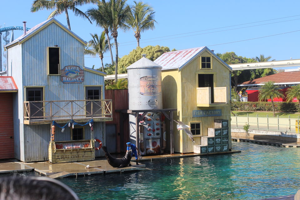 Photo of The Lucky Country: Australia (Part 1- Gold Coast) 30/46 by Shriranjani Rao