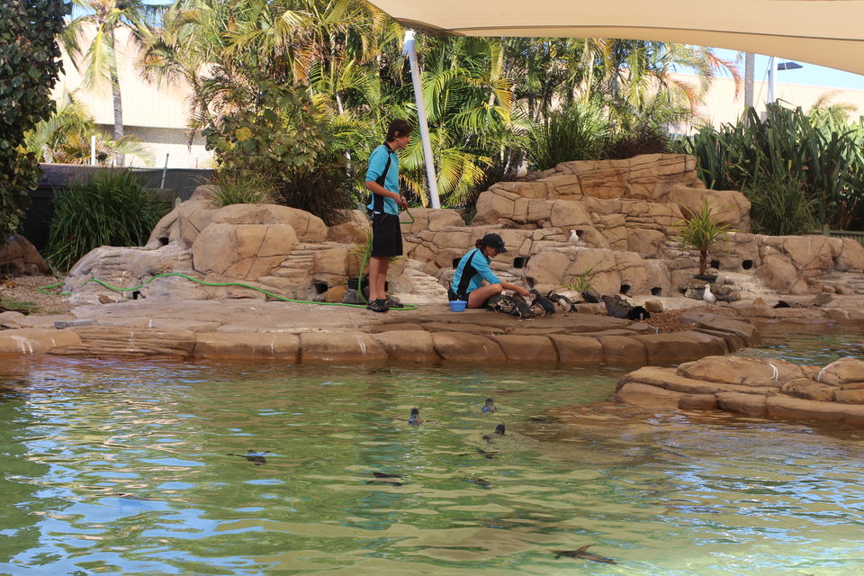Photo of The Lucky Country: Australia (Part 1- Gold Coast) 31/46 by Shriranjani Rao
