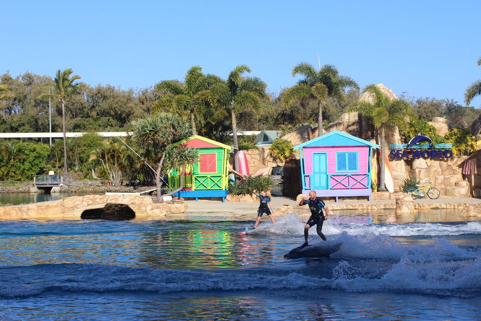 Photo of The Lucky Country: Australia (Part 1- Gold Coast) 32/46 by Shriranjani Rao