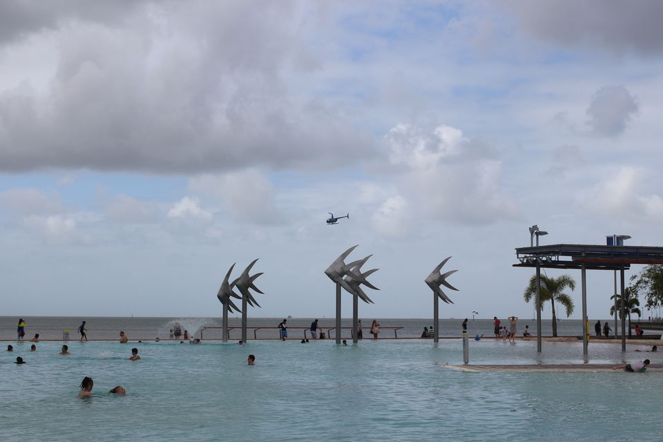 Photo of The Lucky Country: Australia (Part 2 – Cairns) 4/40 by Shriranjani Rao
