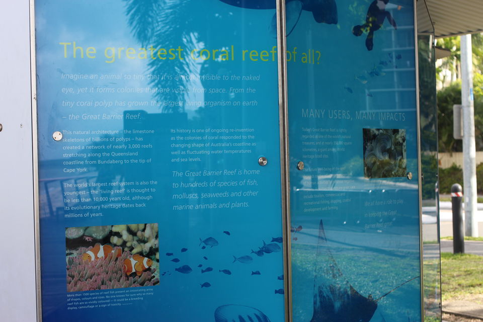 Photo of The Lucky Country: Australia (Part 2 – Cairns) 8/40 by Shriranjani Rao