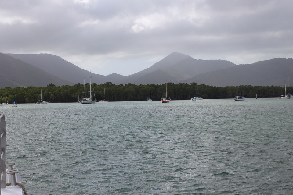 Photo of The Lucky Country: Australia (Part 2 – Cairns) 13/40 by Shriranjani Rao