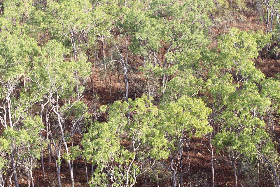 Photo of The Lucky Country: Australia (Part 2 – Cairns) 31/40 by Shriranjani Rao