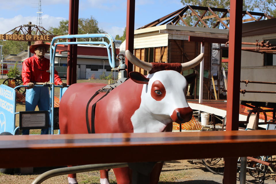 Photo of The Lucky Country: Australia (Part 2 – Cairns) 36/40 by Shriranjani Rao