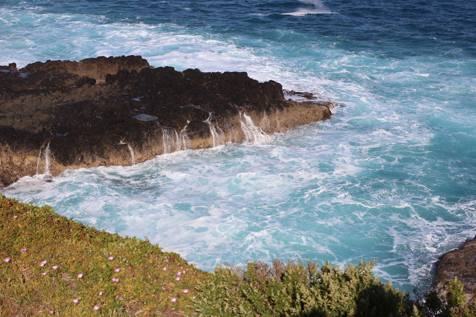 Photo of Australia in 10 Days. Go Ahead, Get Amazed! 17/21 by Shriranjani Rao