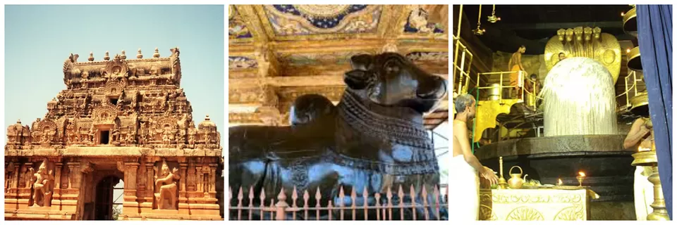 Photo of Thanjavur, Thanjavur, Tamil Nadu 613001, India by Shriranjani Rao