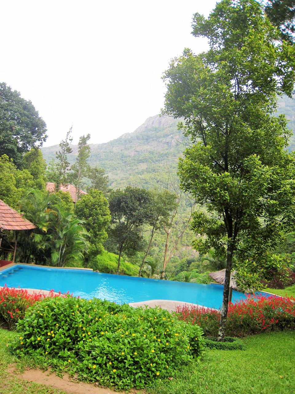 Photo of 10 Indian Hill Stations You'll Want to Go Back to . Forever! 2/16 by Shriranjani Rao