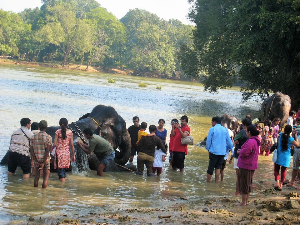 Photo of 10 Indian Hill Stations You'll Want to Go Back to . Forever! 11/16 by Shriranjani Rao
