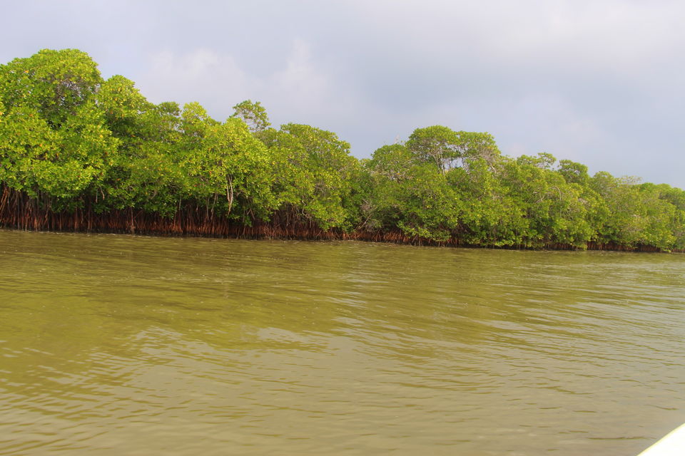 Photo of Move Over Pondi - Chennai's Many Weekend Destinations. 6/6 by Shriranjani Rao