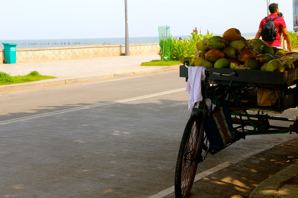 Photo of 10 Reasons Why Pondicherry Should Be Your Next Travel Destination 2/23 by Avni Kapoor