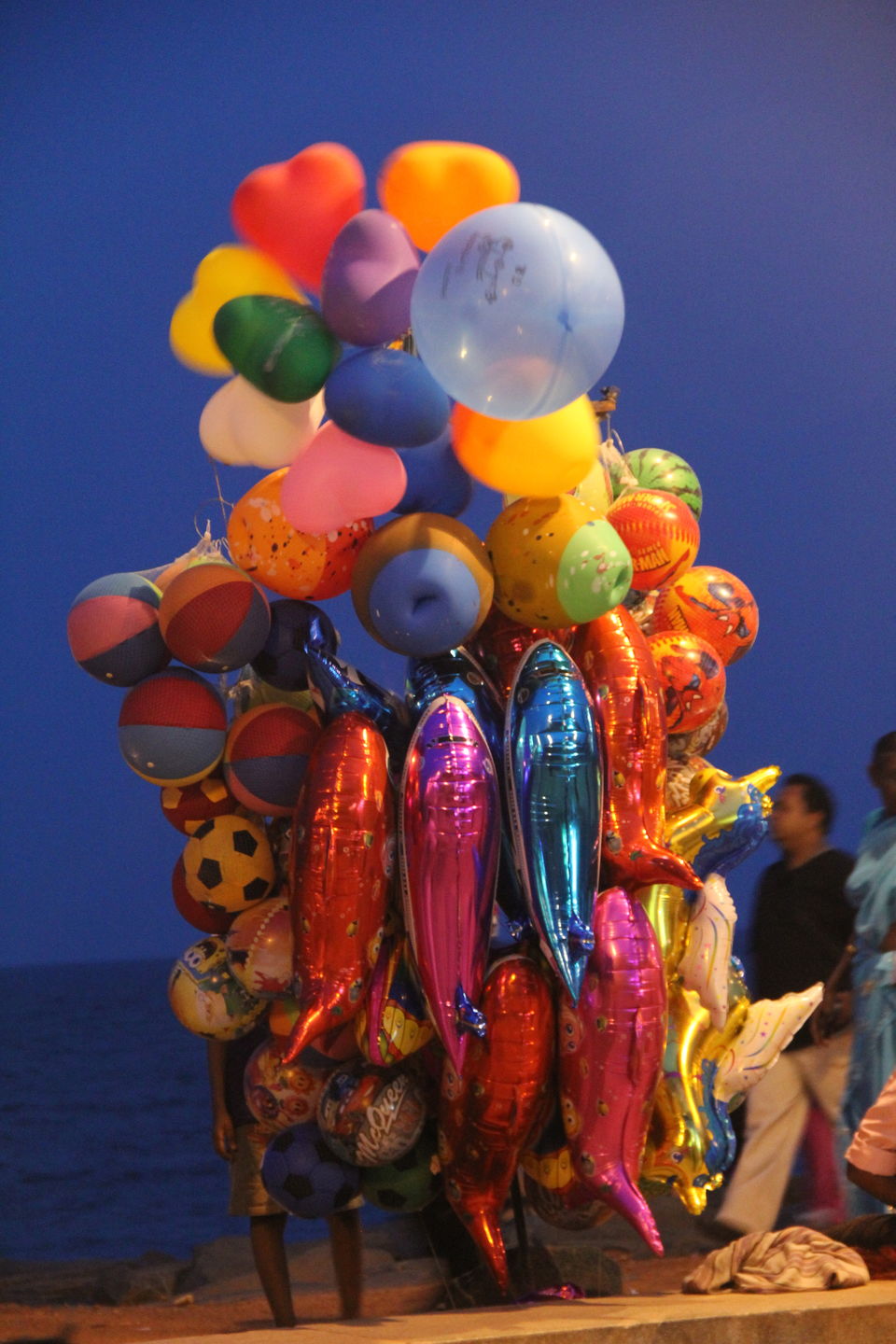 Photo of 10 Reasons Why Pondicherry Should Be Your Next Travel Destination 6/23 by Avni Kapoor