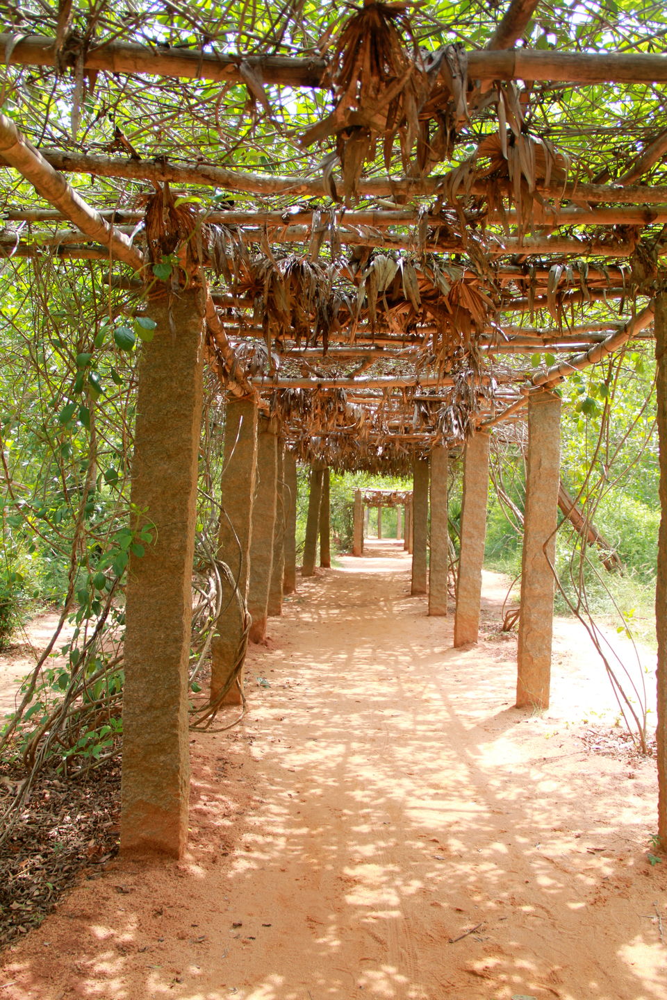 Photo of 10 Reasons Why Pondicherry Should Be Your Next Travel Destination 9/23 by Avni Kapoor