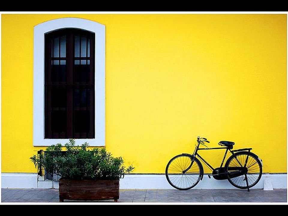 Photo of 10 Reasons Why Pondicherry Should Be Your Next Travel Destination 11/23 by Avni Kapoor