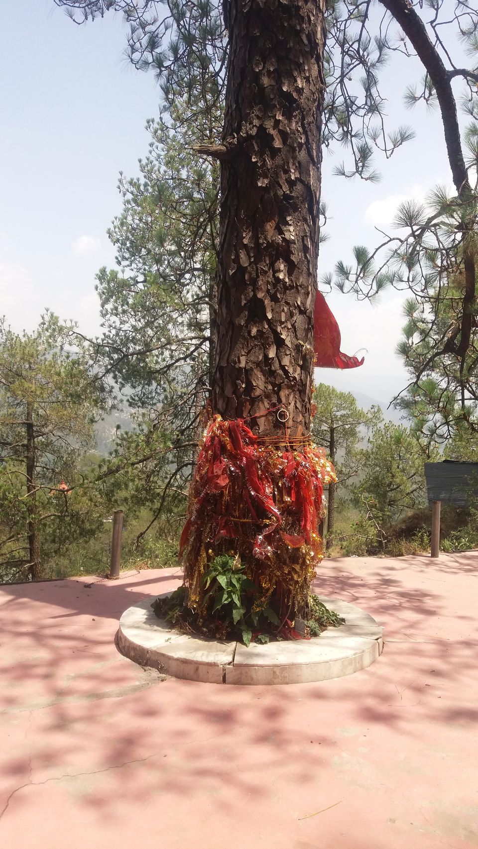 Photo of Shimla- The Queen of Hills by Lipika's World