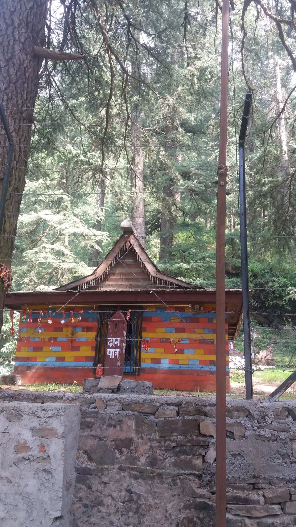 Photo of Shimla- The Queen of Hills by Lipika's World