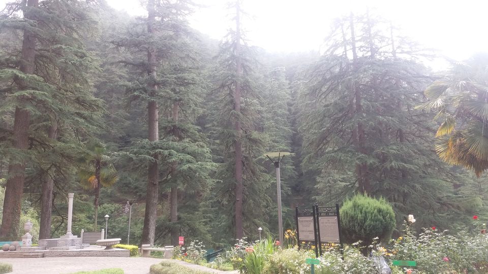 Photo of Shimla- The Queen of Hills by Lipika's World