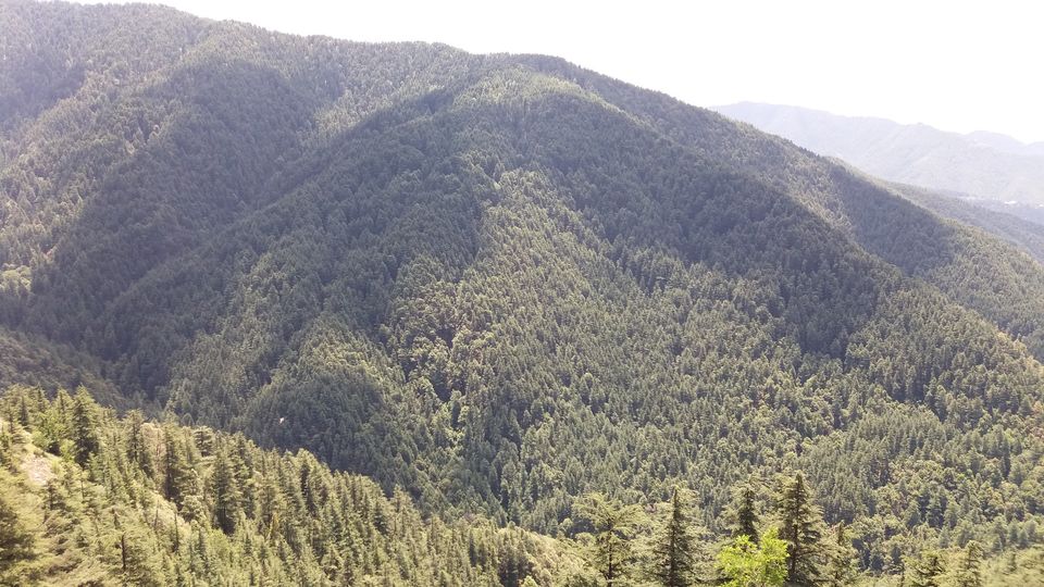 Photo of Shimla- The Queen of Hills by Lipika's World