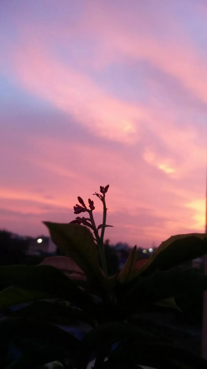 Photo of Ranchi by Sejal Lakra 