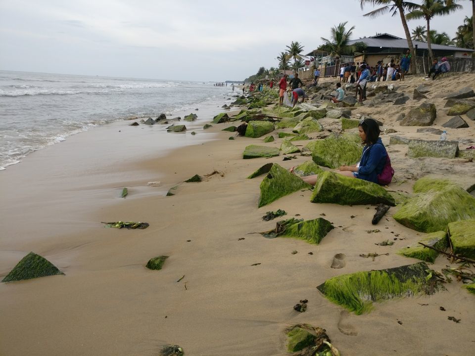 Photo of Cherai Beach, Vypin, Kerala, India by Debasmita Rath