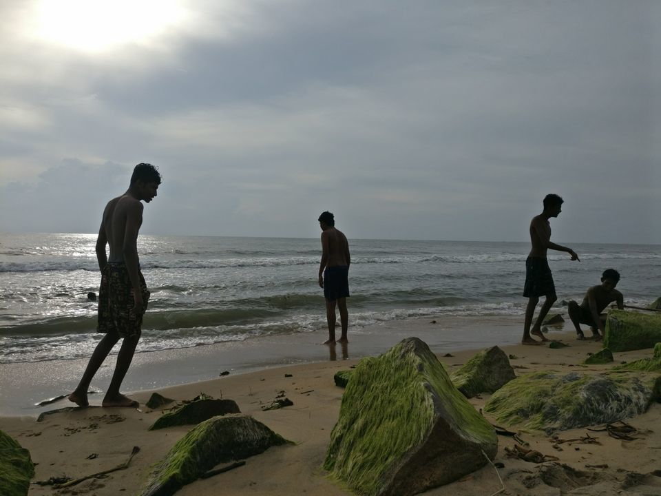 Photo of Cherai Beach, Vypin, Kerala, India by Debasmita Rath