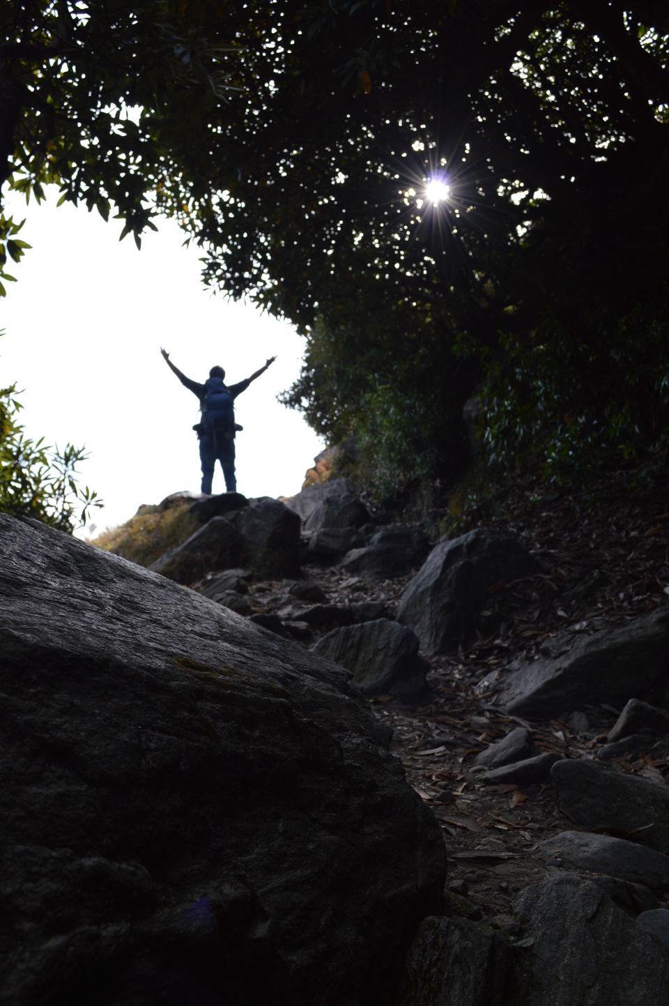 Photo of Bir, Triund, Mcleod: "Aur kitna chalna hai -> bas thoda aur " 1/23 by Vijendra Budiyal