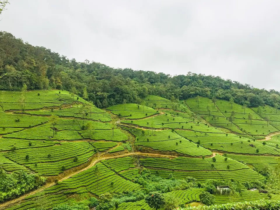 Photo of Places to visit near Kochi #kerala #weekend #roadtrip by Sailorsonshore