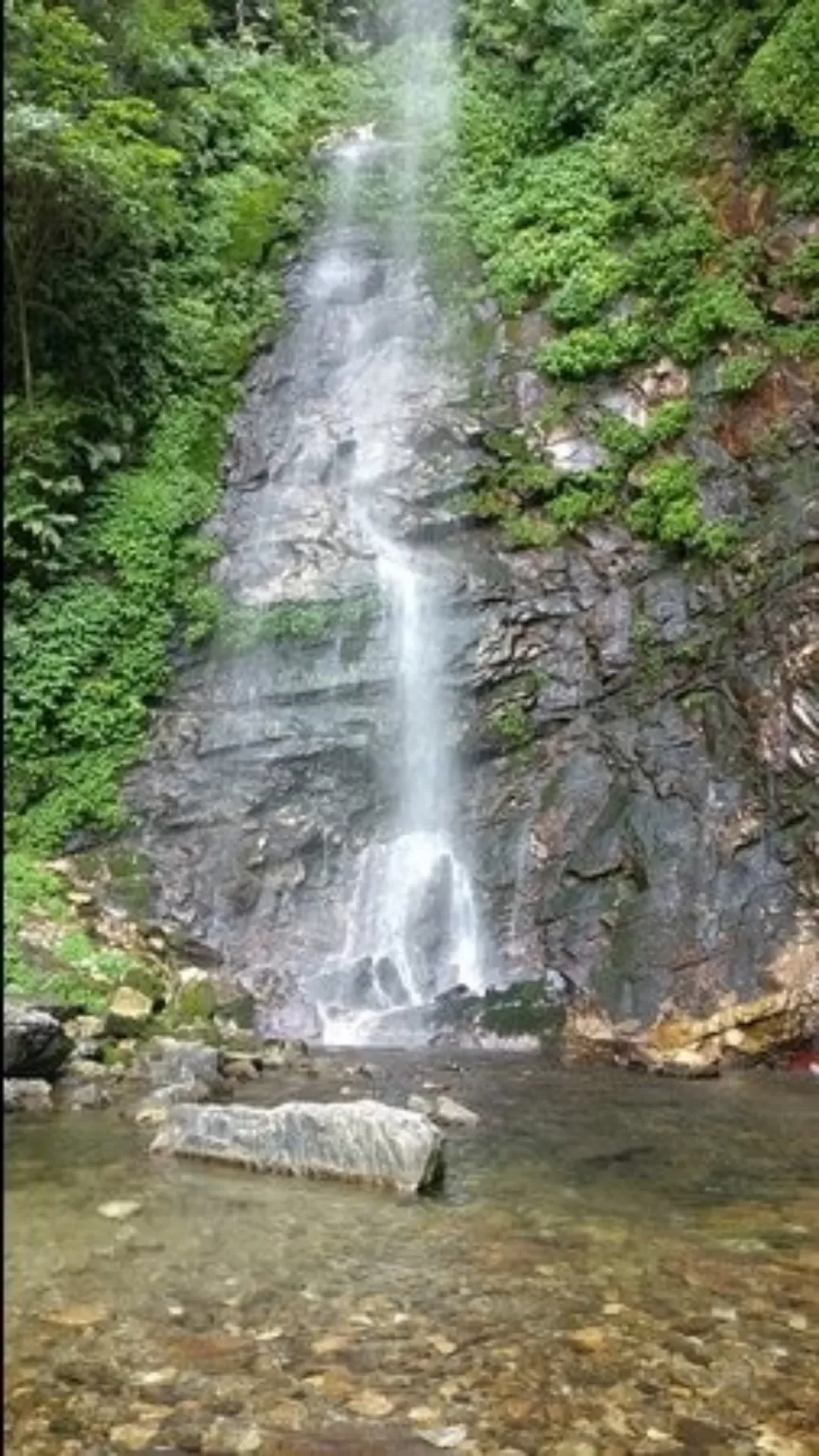Photo of Sharchi By Er.JACKY GOYAL