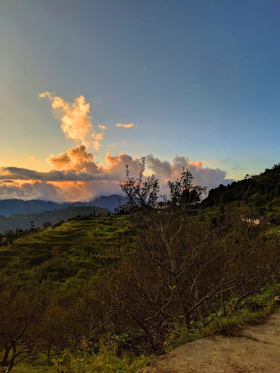 Photo of Nama Stay: A Hostel Like Homestay in Kanatal That Would Bring Back All The Simple Joys of Life 9/17 by Diksha Singhi