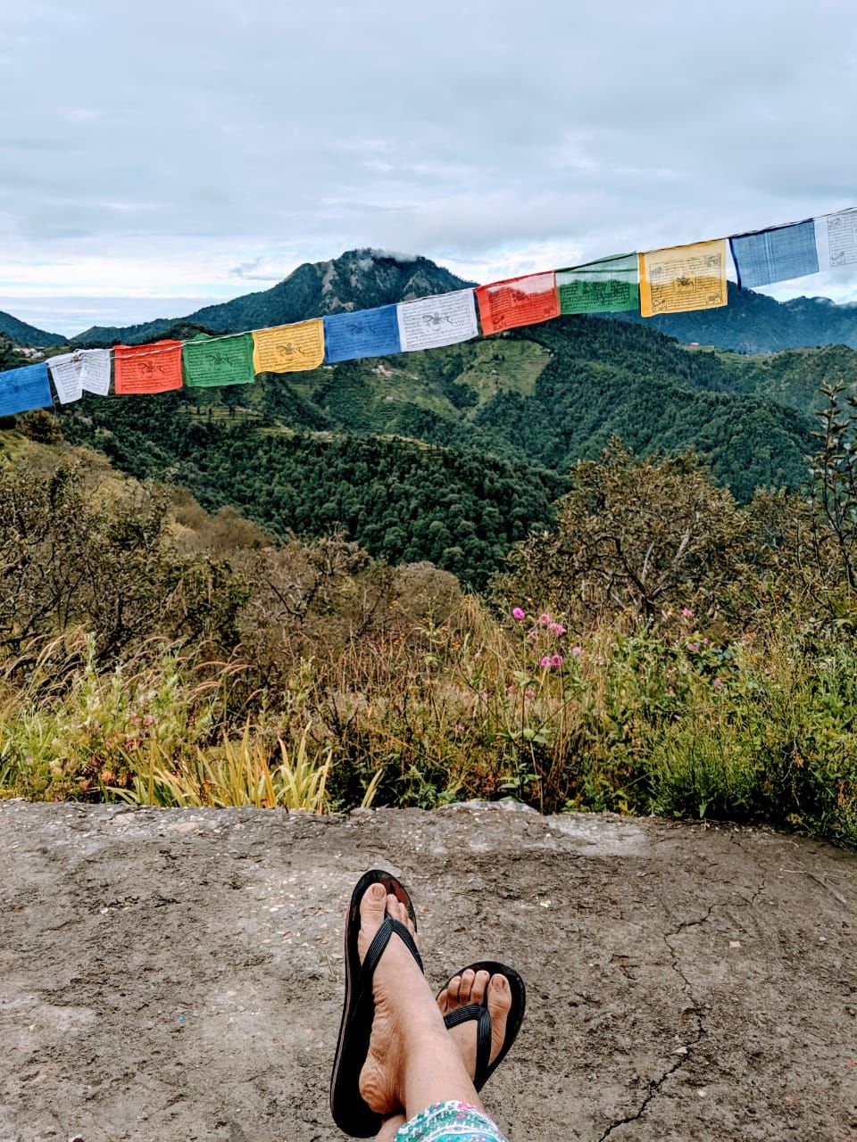 Photo of Nama Stay: A Hostel Like Homestay in Kanatal That Would Bring Back All The Simple Joys of Life 17/17 by Diksha Singhi