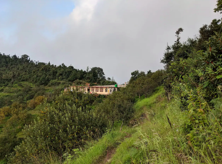 Photo of Nama Stay: A Hostel Like Homestay in Kanatal That Would Bring Back All The Simple Joys of Life 3/17 by Diksha Singhi